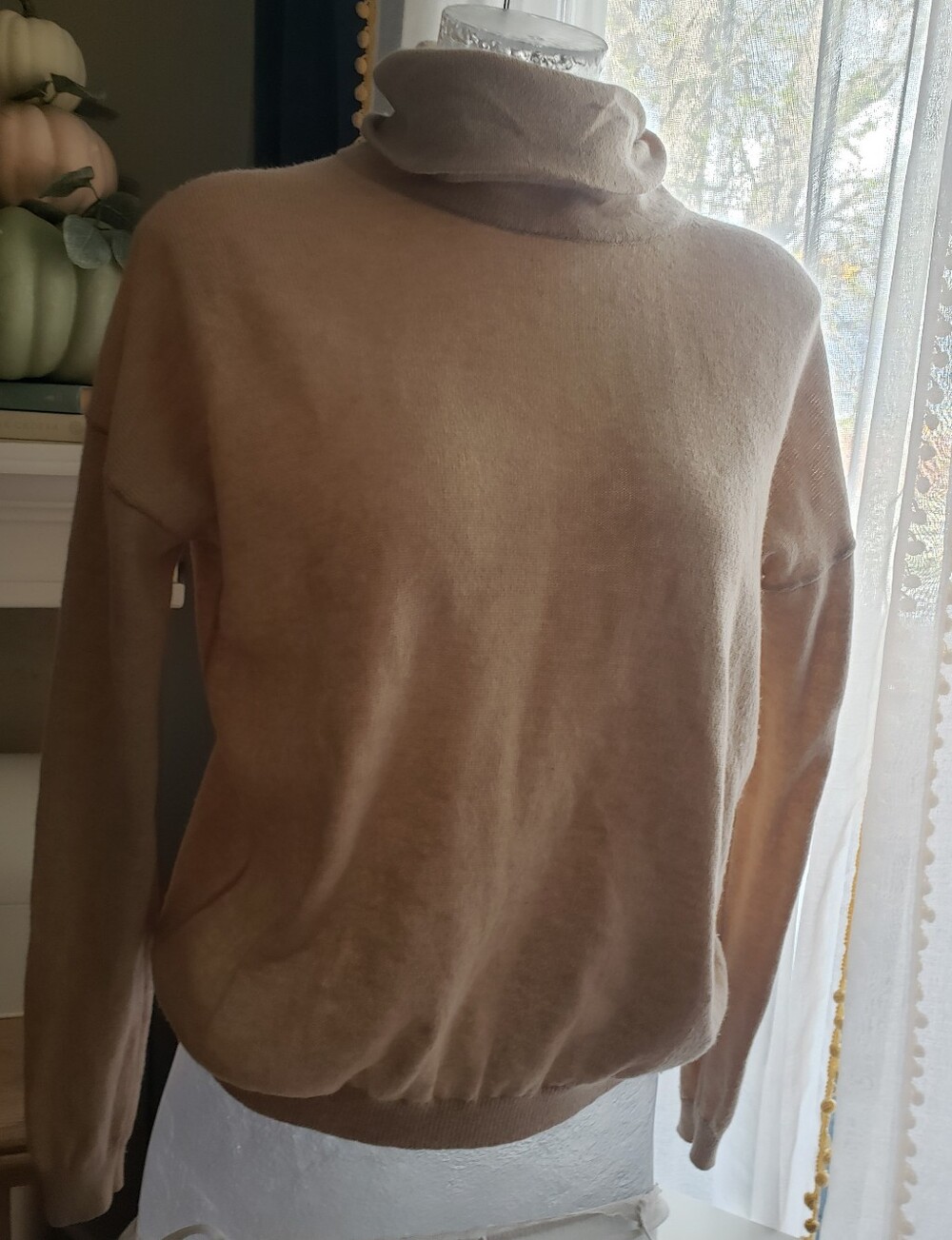 Aritzia Babaton Wool Cashmere Blend Neutral Beige Turtleneck Sweater